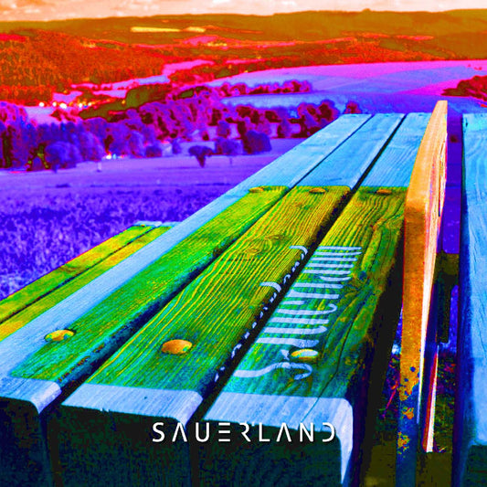 Popart Wandbild "Sauerland-Bank"